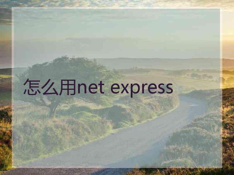 怎么用net express