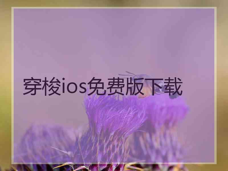 穿梭ios免费版下载