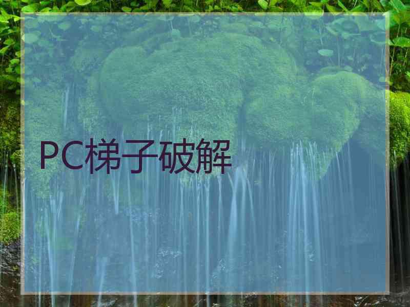 PC梯子破解