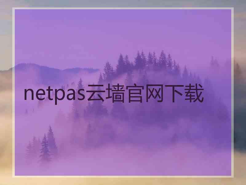 netpas云墙官网下载