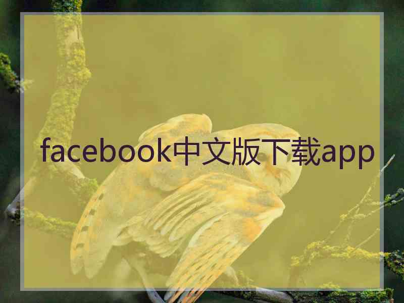 facebook中文版下载app