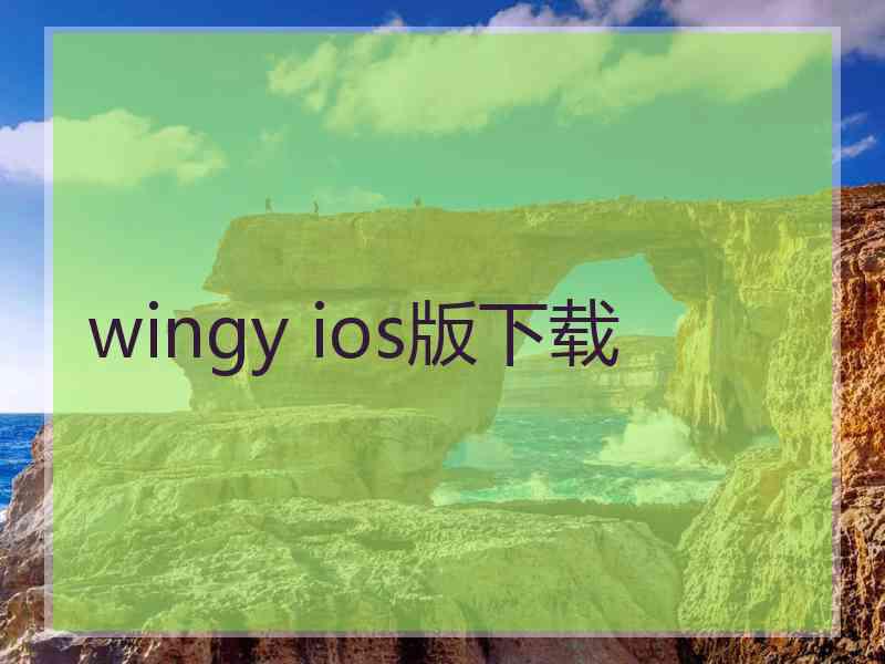 wingy ios版下载