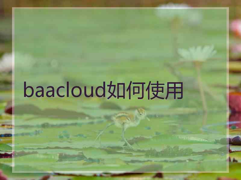 baacloud如何使用