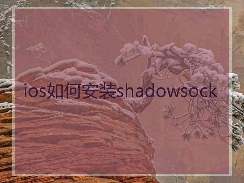 ios如何安装shadowsock