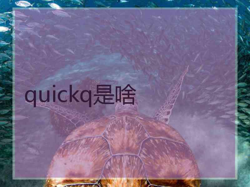 quickq是啥