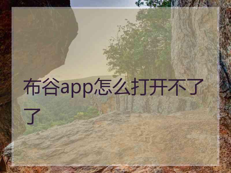 布谷app怎么打开不了了