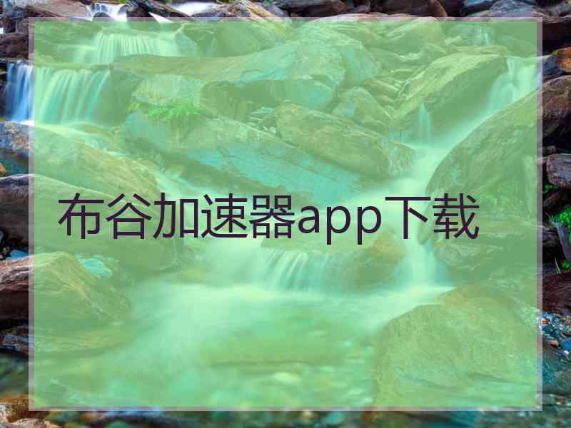 布谷加速器app下载