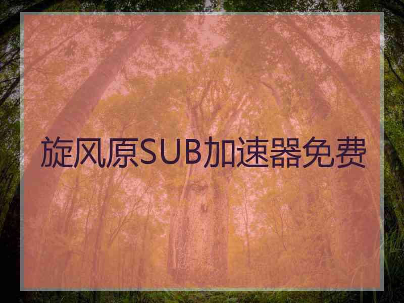 旋风原SUB加速器免费