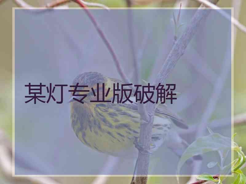 某灯专业版破解