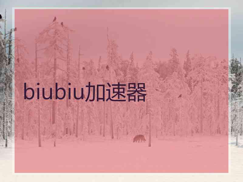 biubiu加速器