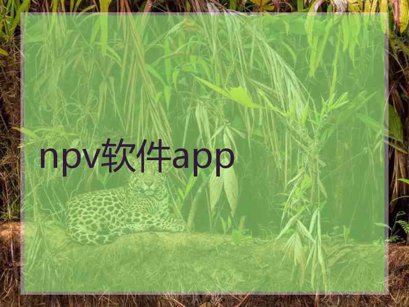 npv软件app