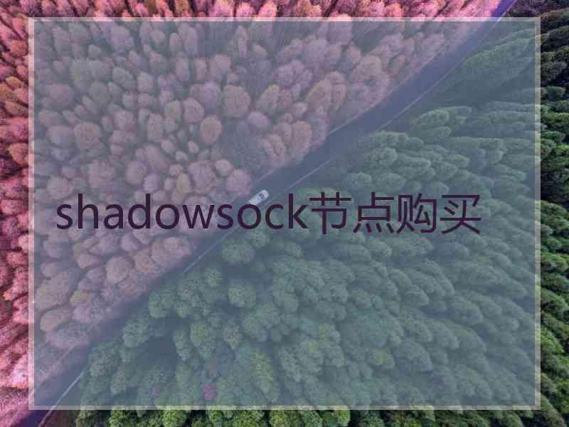 shadowsock节点购买