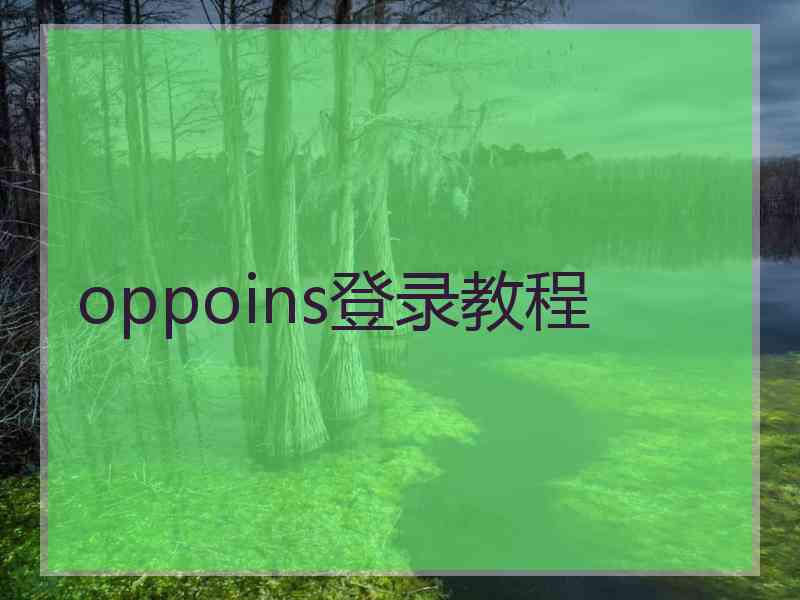 oppoins登录教程