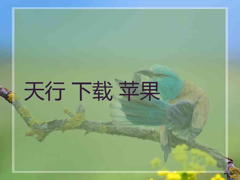 天行 下载 苹果