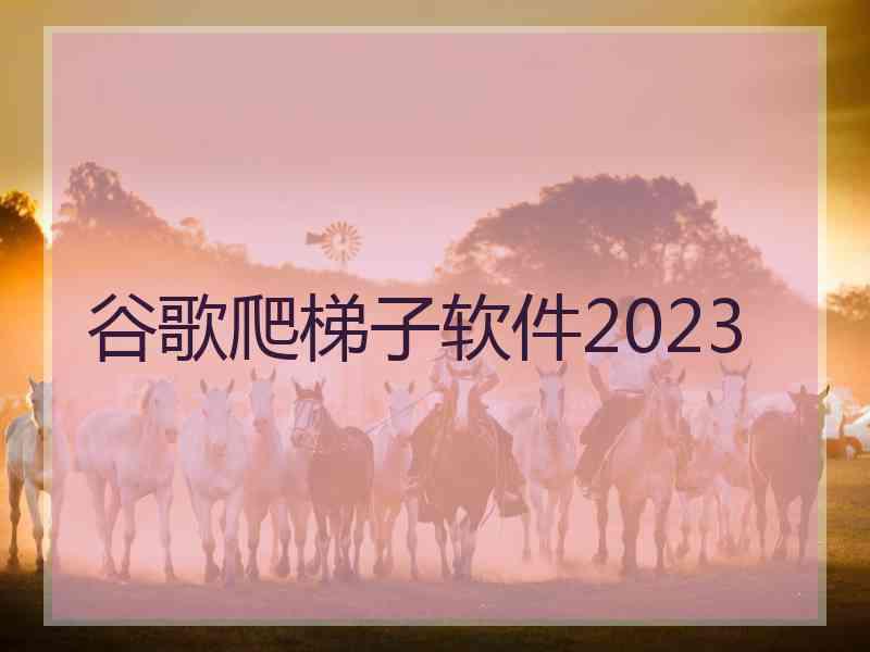 谷歌爬梯子软件2023