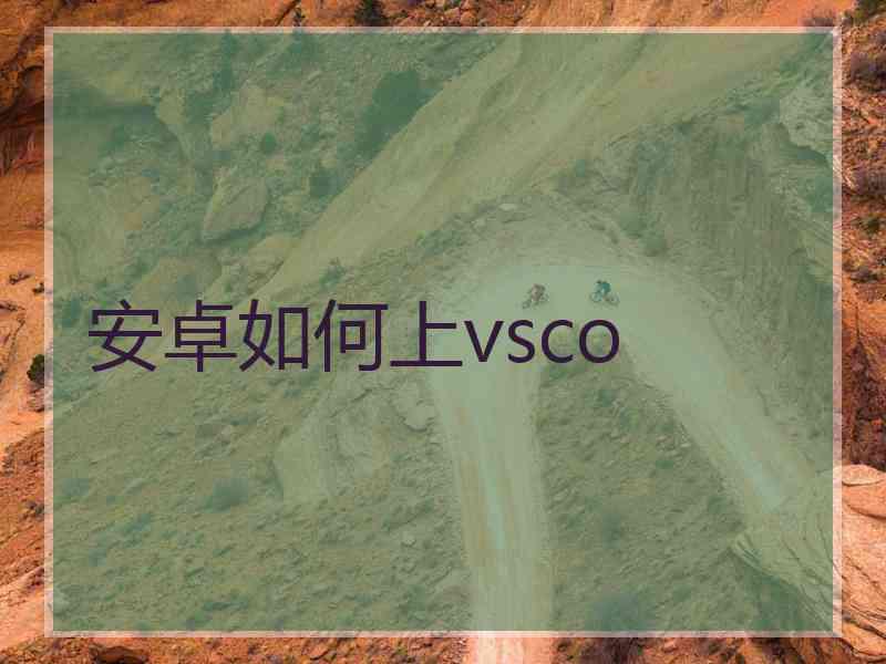 安卓如何上vsco