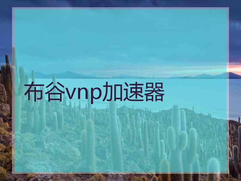 布谷vnp加速器