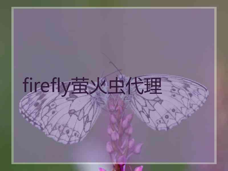 firefly萤火虫代理