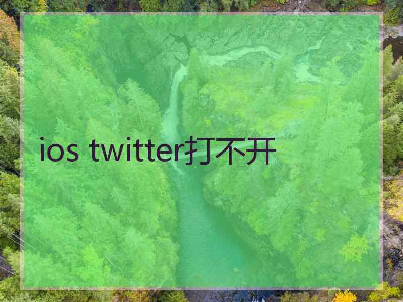 ios twitter打不开