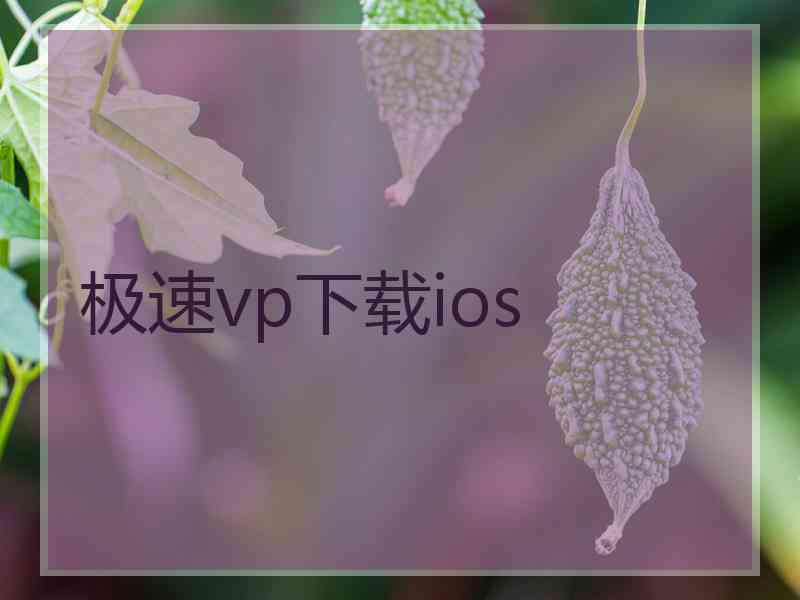 极速vp下载ios