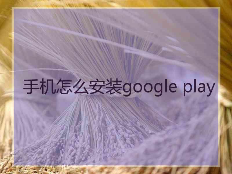 手机怎么安装google play