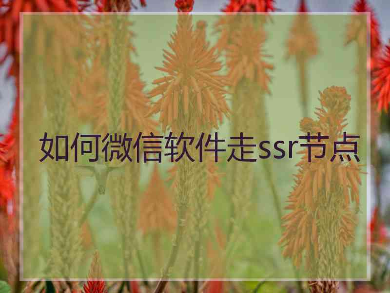 如何微信软件走ssr节点