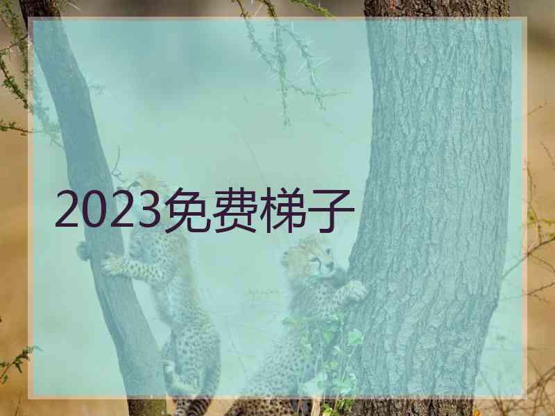 2023免费梯子