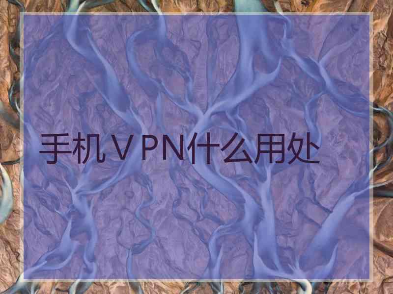 手机ⅤPN什么用处