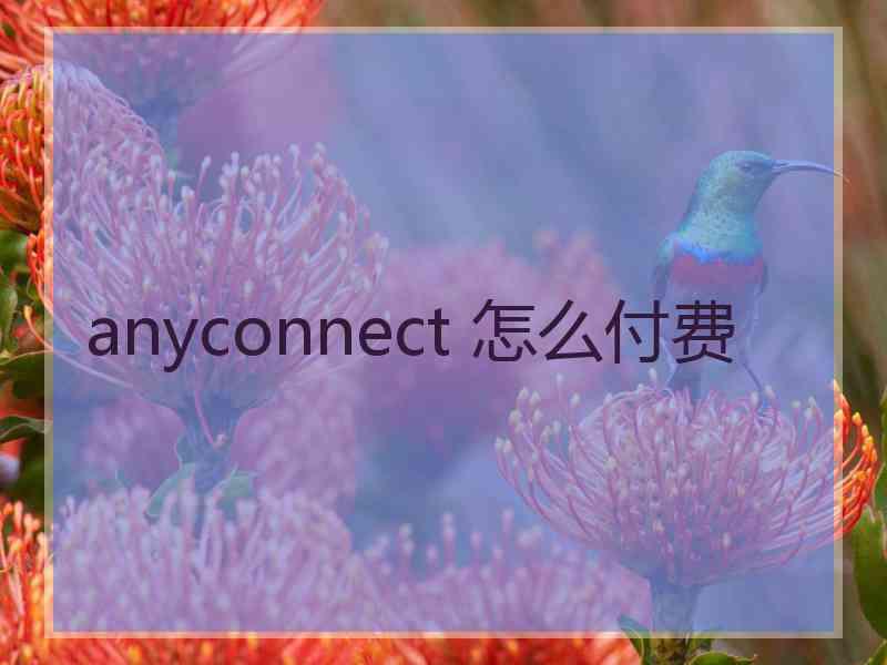 anyconnect 怎么付费