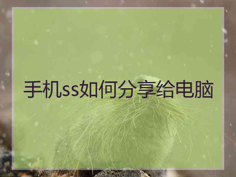 手机ss如何分享给电脑