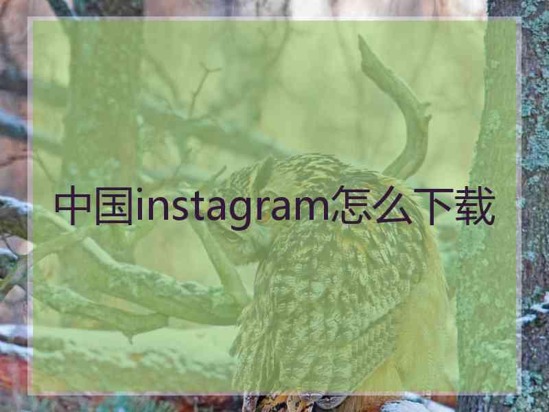 中国instagram怎么下载