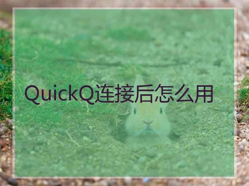 QuickQ连接后怎么用