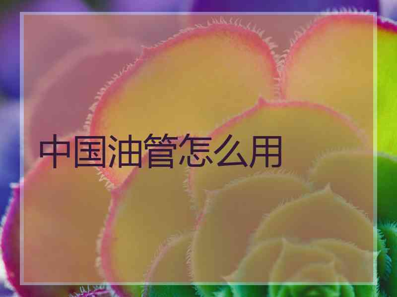 中国油管怎么用