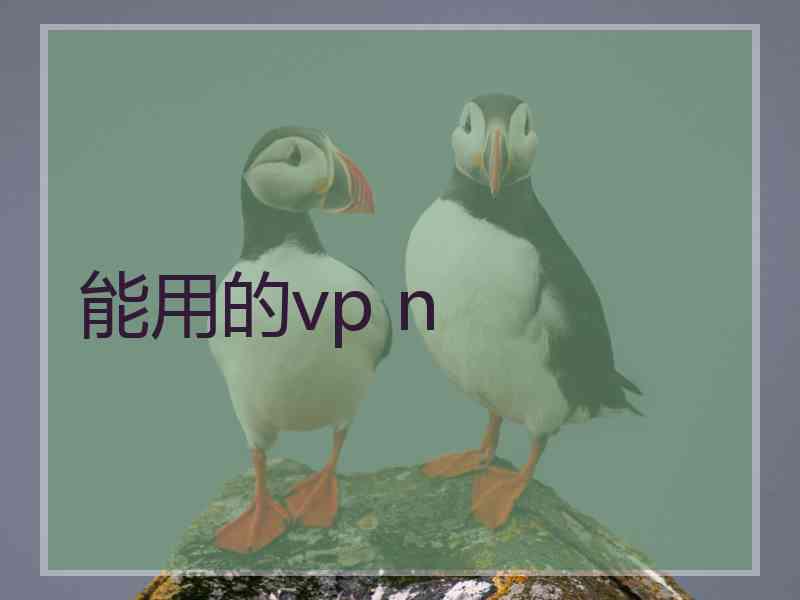 能用的vp n