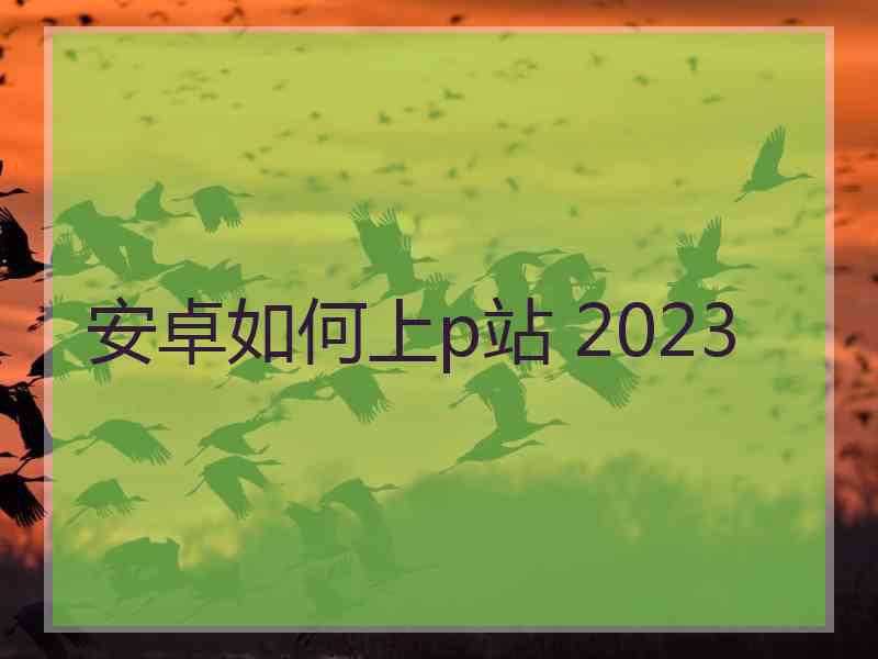 安卓如何上p站 2023