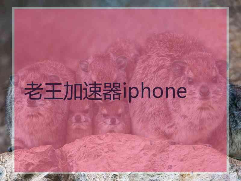 老王加速器iphone