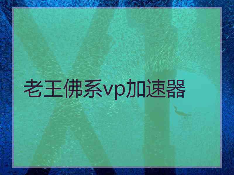 老王佛系vp加速器