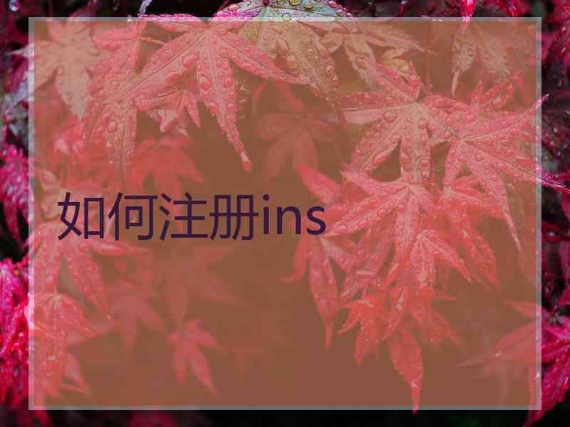 如何注册ins