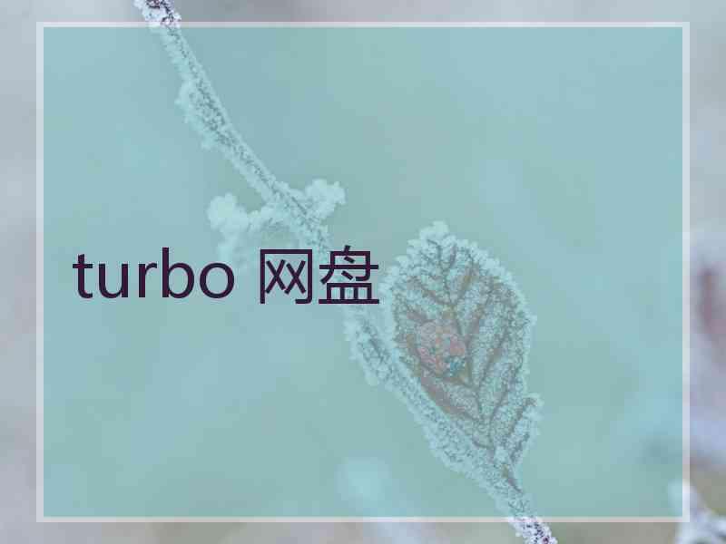 turbo 网盘