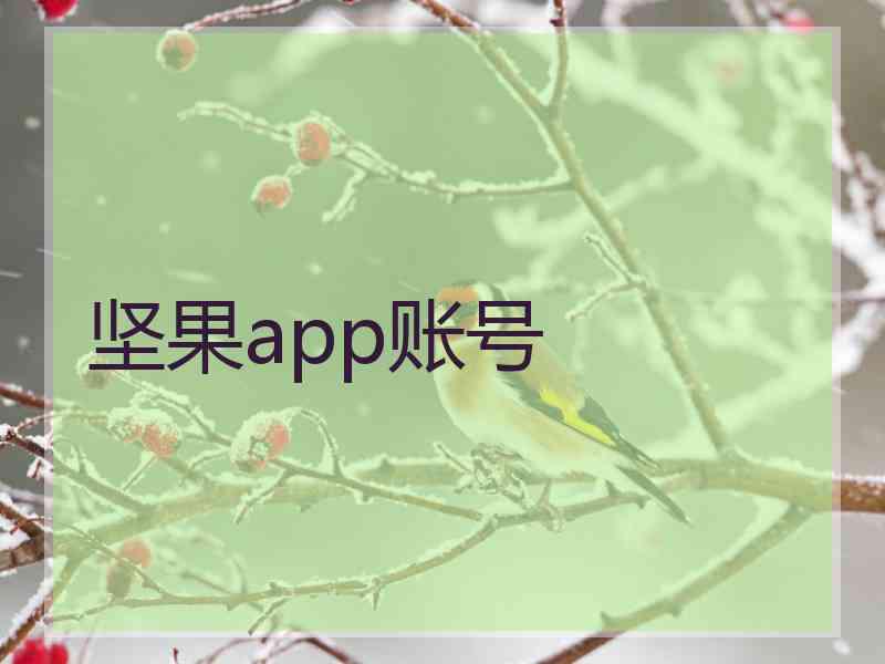 坚果app账号