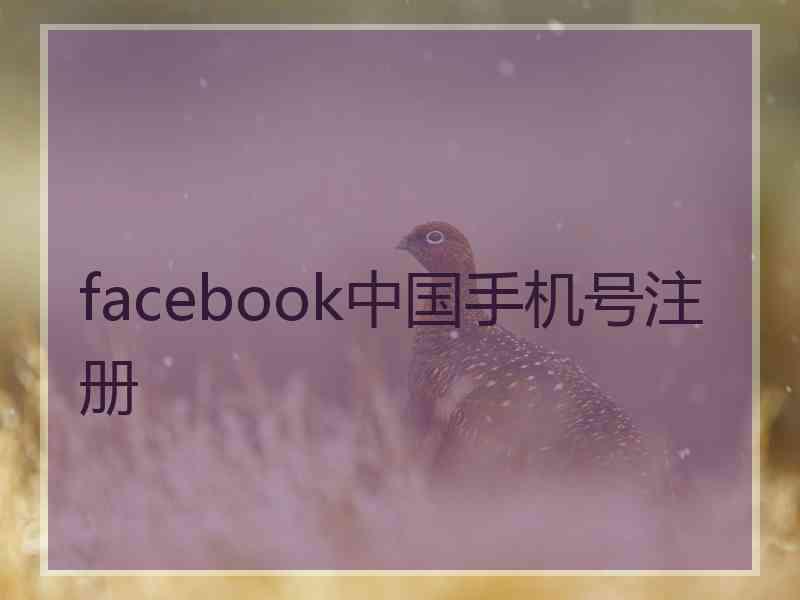 facebook中国手机号注册