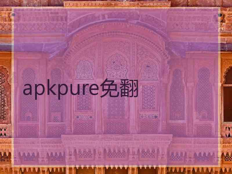 apkpure免翻