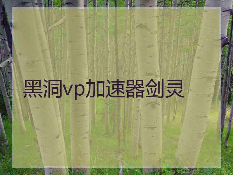 黑洞vp加速器剑灵