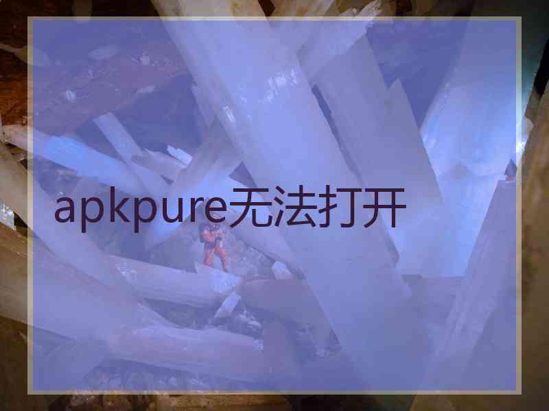 apkpure无法打开