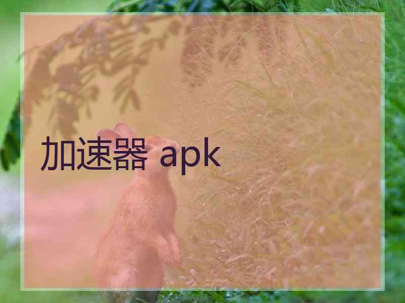 加速器 apk