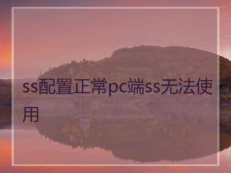 ss配置正常pc端ss无法使用