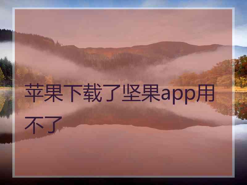 苹果下载了坚果app用不了