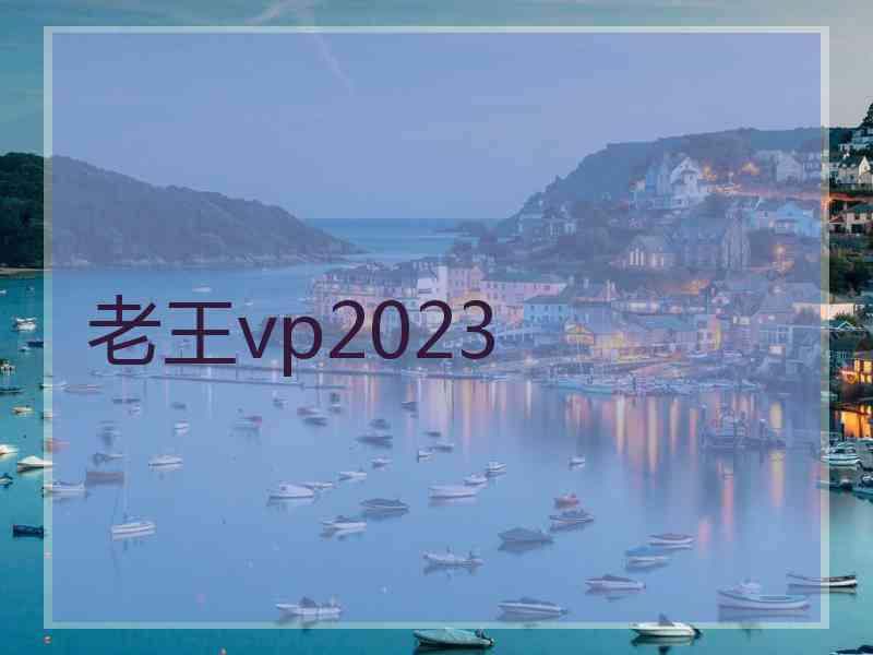 老王vp2023