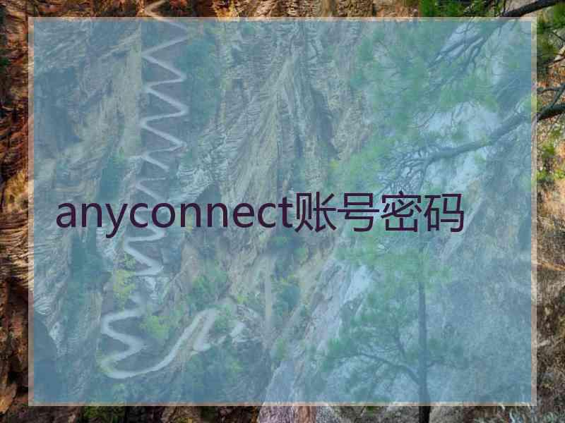 anyconnect账号密码