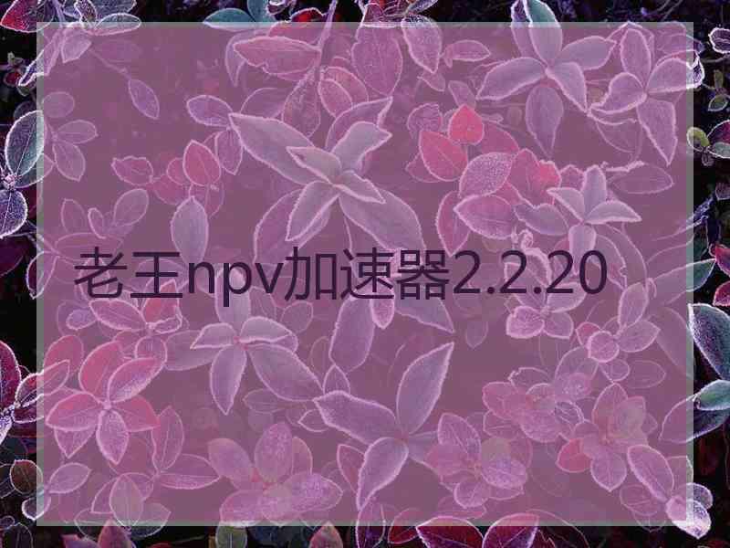 老王npv加速器2.2.20